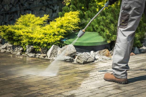 Animal Enclosure Cleaning in Tropical Park, FL