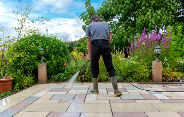 Best Sidewalk and Walkway Cleaning  in Tropical Park, FL